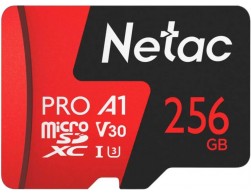 Карта памяти Micro SecureDigital 256Gb Class 10 Netac P500 Extreme Pro (NT02P500PRO-256G-S) UHS-I 100MB/S, Пенза.